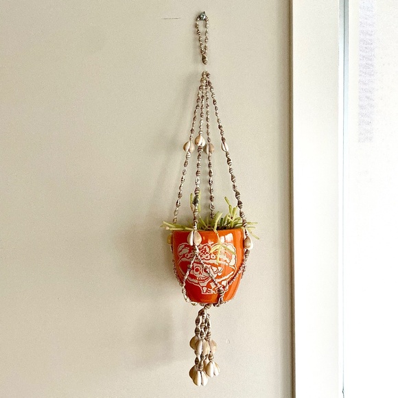 Shell Hanging Basket / Plant Hanger / Wall Hanging - Picture 1 of 16